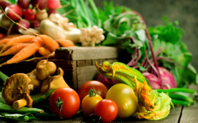 Thank you 1 5 Food Tips for Stress and Anxiety